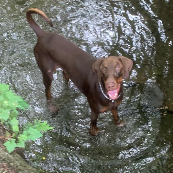 Meet your Posher, Alex - Picture 1 of 1